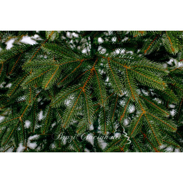 Boreal Műfenyő Full 3D 180 cm
