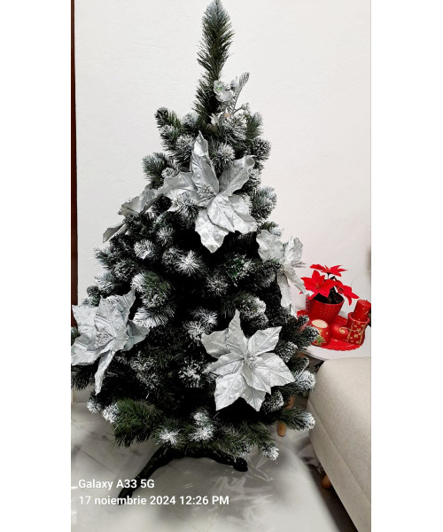 Eufrasio Műfenyő 120 cm