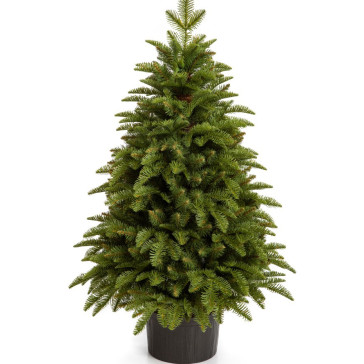 Nobiles Műfenyő 80 cm