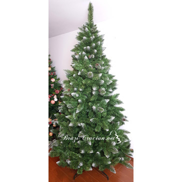 Ottawa Műfenyő 300 cm